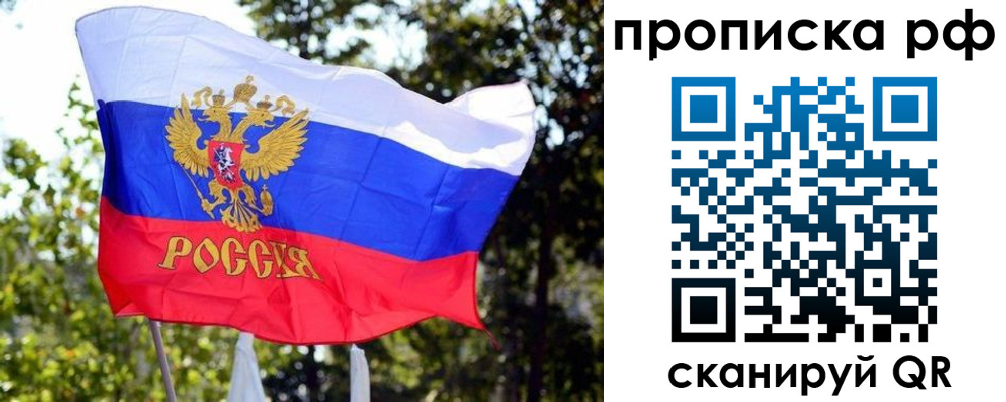 временная регистрация надежно в Саранске